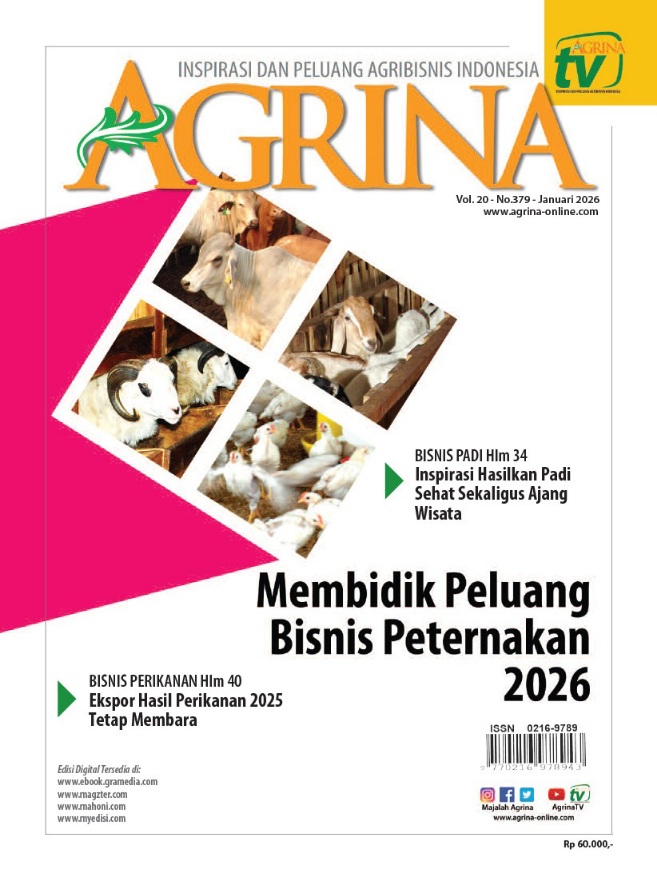 IMG-20260116-WA0006(1)