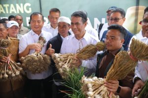 NTB Jadi Tulang Punggung Pasokan Bawang Putih Nasional