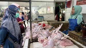 Kementan Pastikan Pasokan dan Harga Daging, Ayam, serta Telur Stabil Selama Ramadan