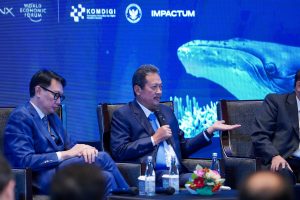 Indonesia Ajak Negara Sahabat dan Organisasi Internasional Berpartisipasi di KTT OIS 2026