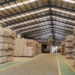 Asik Harga Pakan Turun, Berikut Angkanya