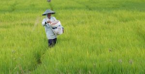 Hadapi Gejolak Global, Petrokimia Gresik Perkuat Strategis