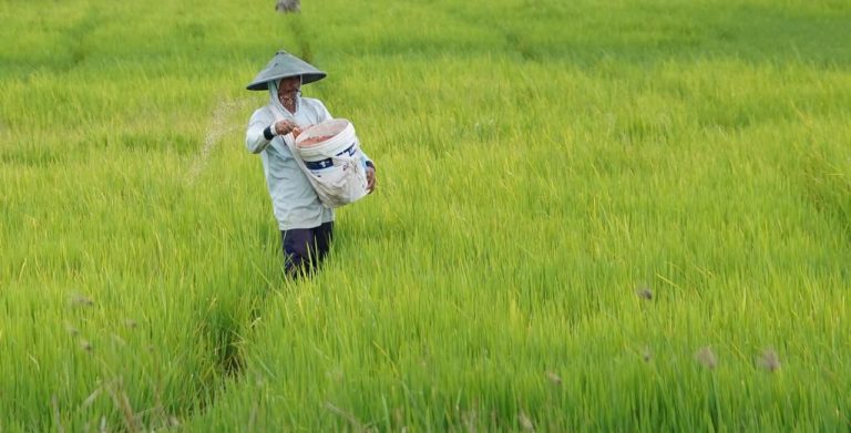 WhatsApp Image 2026-03-10 at 10.08