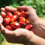 Pengendalian Biaya Menopang Pertumbuhan Astra Agro Kuartal I 2026