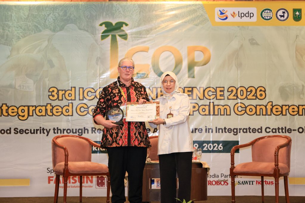 Peternak Manfaatkan Integrasi Sapi–Sawit untuk Ketahanan Pangan