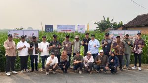 Bayer dan Kemenko PM Satukan Kekuatan untuk Petani