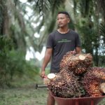 Sawit Mulai Siaga Hadapi Ancaman “Godzilla El-Nino”