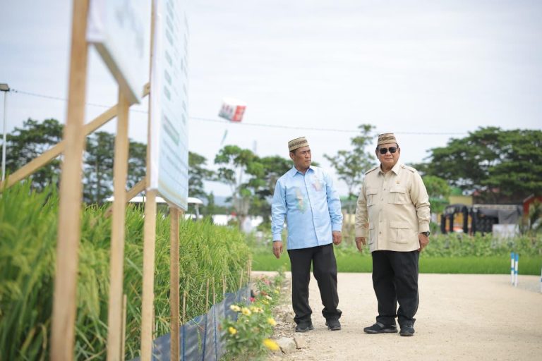 Kebijakan Presiden Prabowo Berdampak Pada Usaha Tani