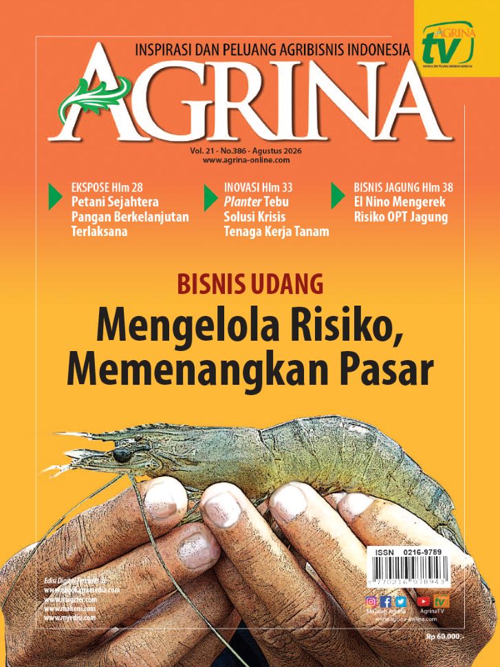 COVER 386s