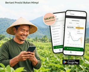 Membaca Harga, Menimbang Risiko
