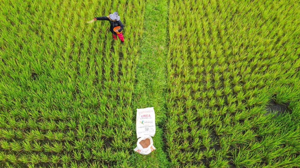Hari Tani, Pupuk Indonesia Tegaskan Petani sebagai Prioritas lewat Pupuk Terjangkau dan Mudah Diakses
